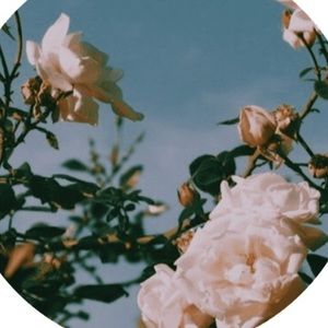 Meet your Posher, Madelyn